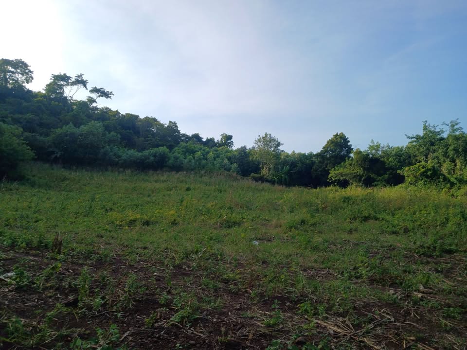 Đất nền xã Sơn Bình, Châu Đức 360m² giá 400 triệu - Cơ hội đầu tư tuyệt vời!