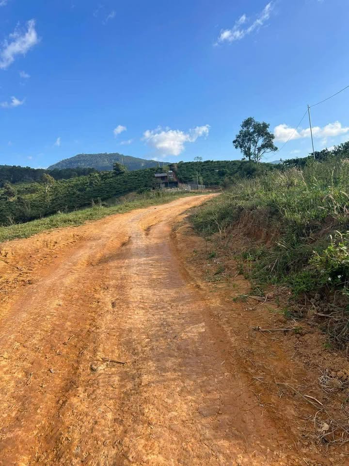 Bán đất xã Di Linh 2300m² giá 1.8 tỷ - Cơ hội đầu tư sinh lời!