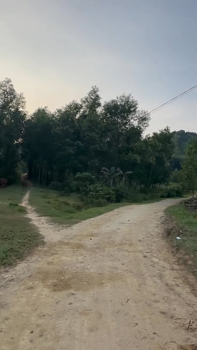 Đất nền xã Sơn Lĩnh 1530m² giá 2.1 tỷ - Tiềm năng đầu tư cao!