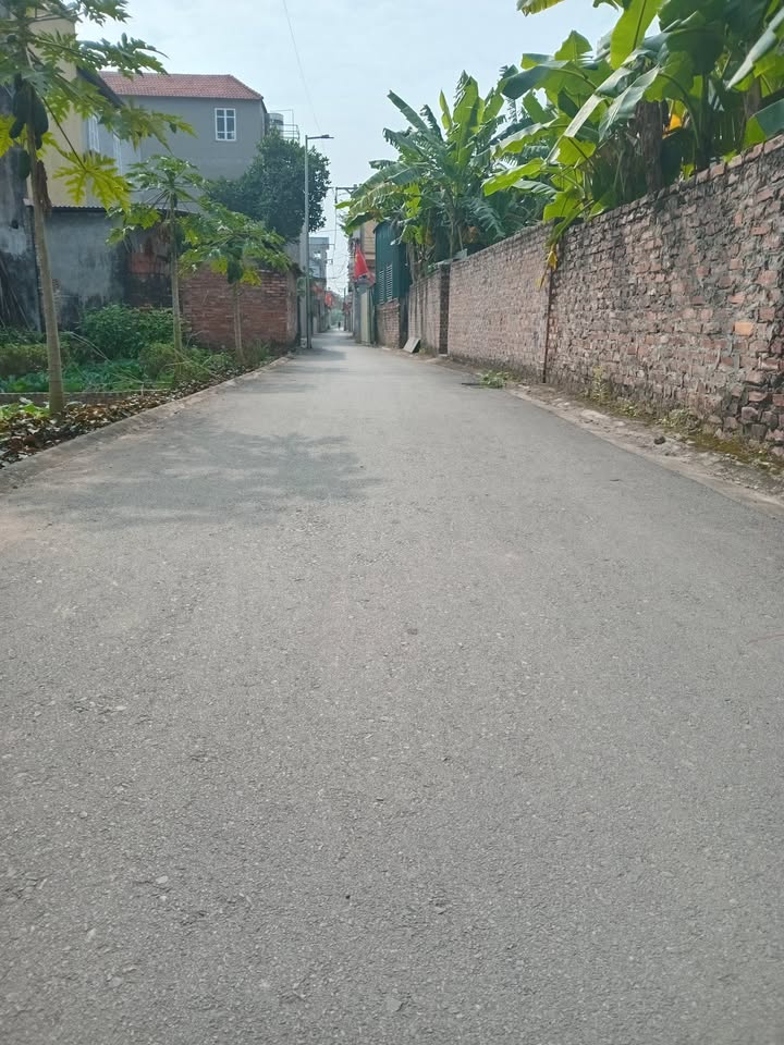 Đất nền Dương Quang Gia Lâm 90m² giá 4.45 tỷ - Đầu tư tiềm năng sinh lời!