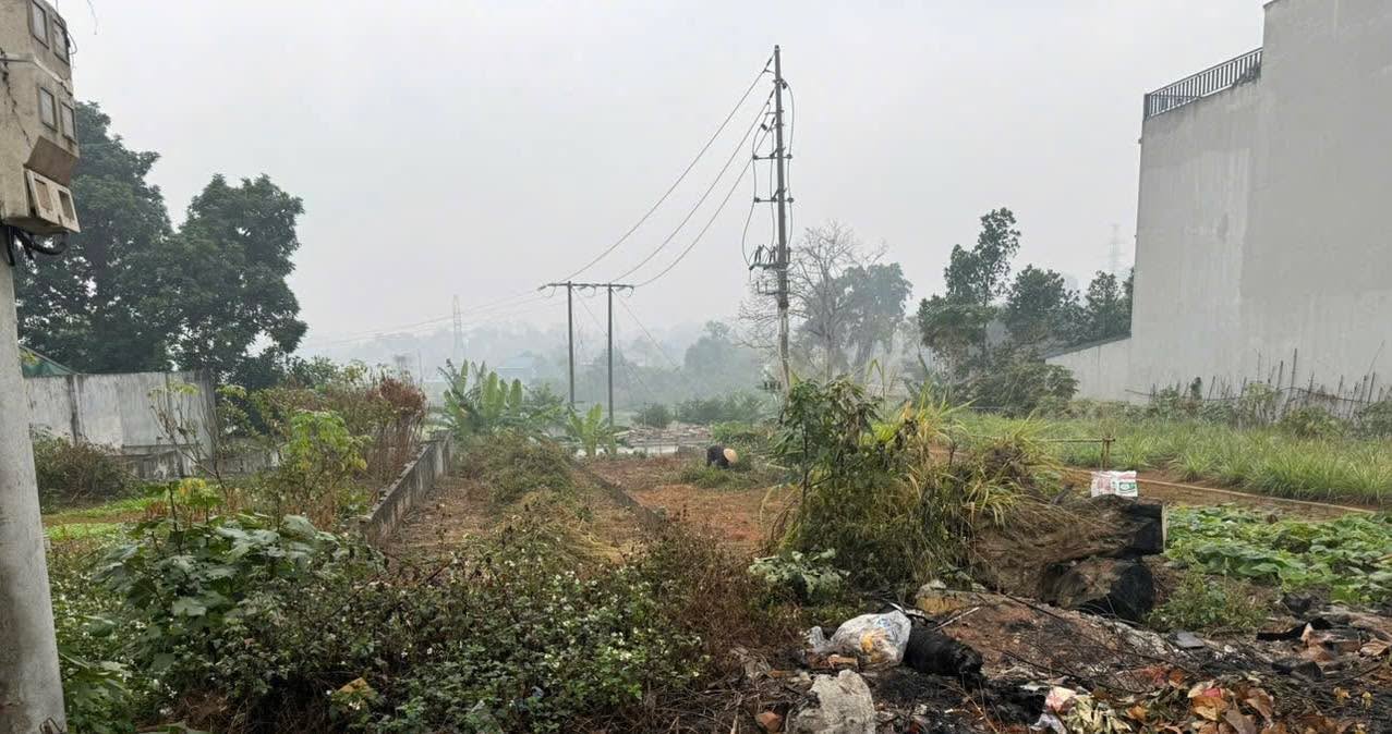 Đất mặt đường Xã Đại Hưng 300m² giá 12 tỷ - Kinh doanh đỉnh cao!