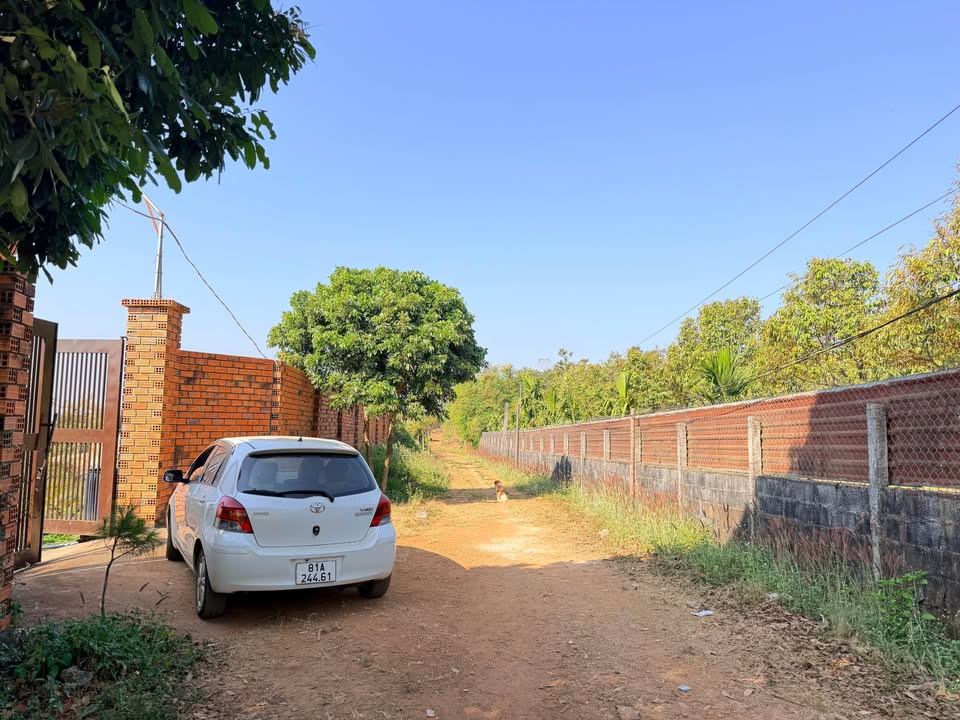 Đất thổ cư 148m² tại đường Nguyễn Siêu, phường Diên Hồng giá chỉ 400 triệu - Cơ hội đầu tư hấp dẫn!