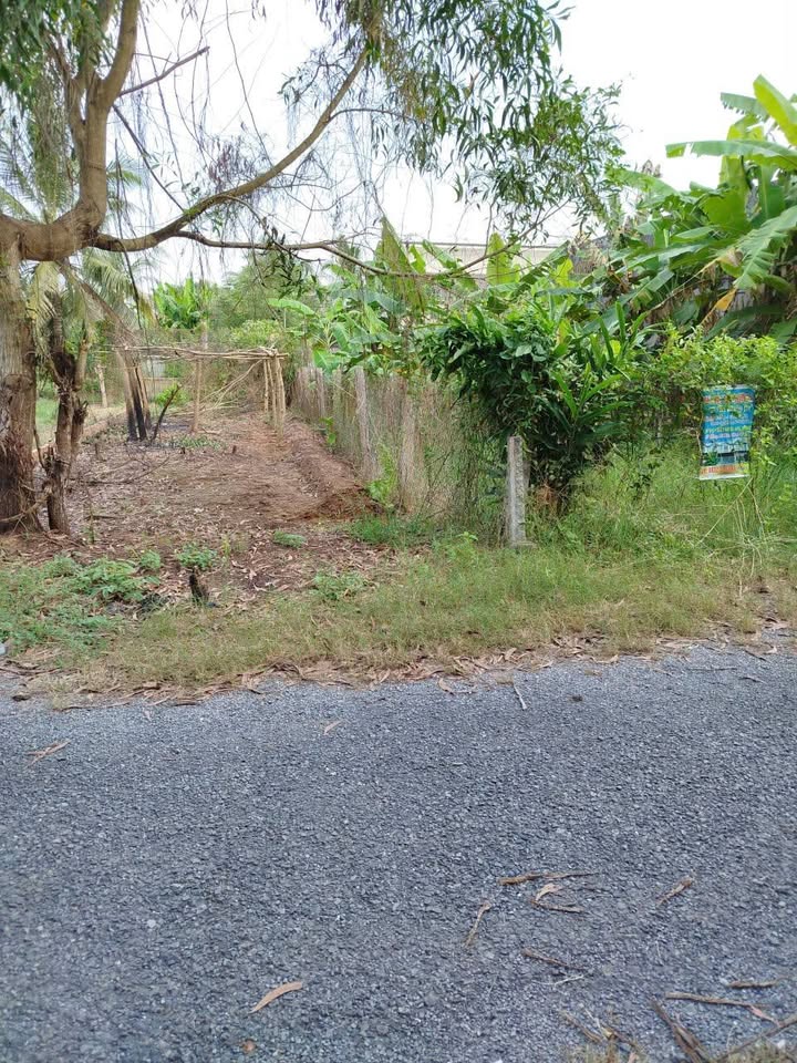 Đất thổ cư mặt tiền đường Nguyễn Tấn Liềng 105m² giá 480 triệu - Cơ hội đầu tư tuyệt vời!