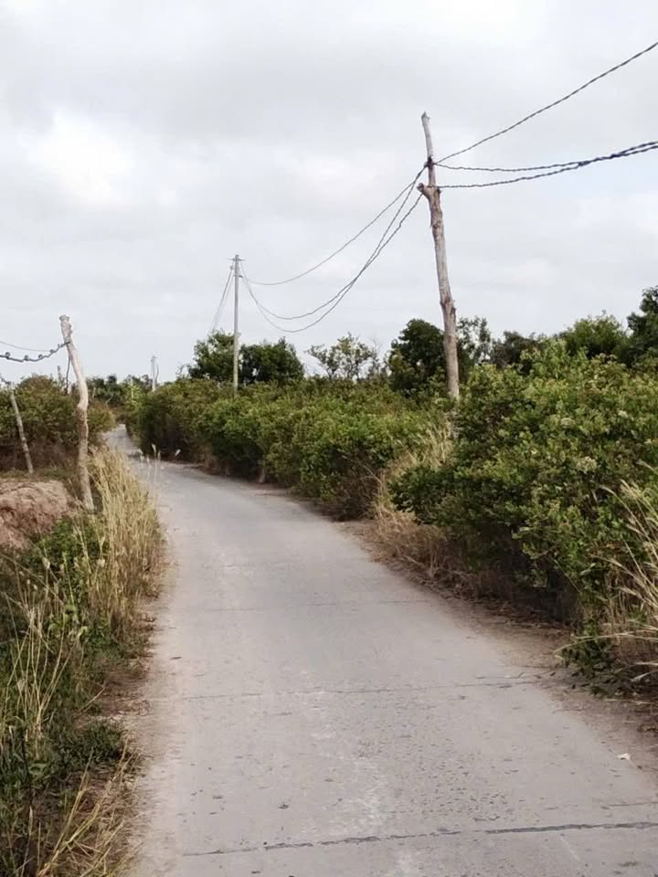 Đất nuôi thủy sản 30 công tại Duyên Hải, Trà Vinh giá 3 tỷ - Cơ hội đầu tư tuyệt vời!