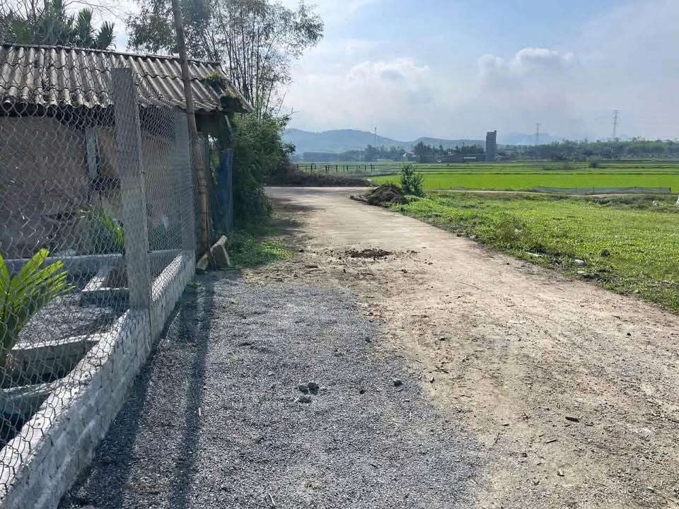 Đất nền Tịnh Hiệp, Sơn Tịnh 800m² giá thỏa thuận - Cơ hội đầu tư hấp dẫn!