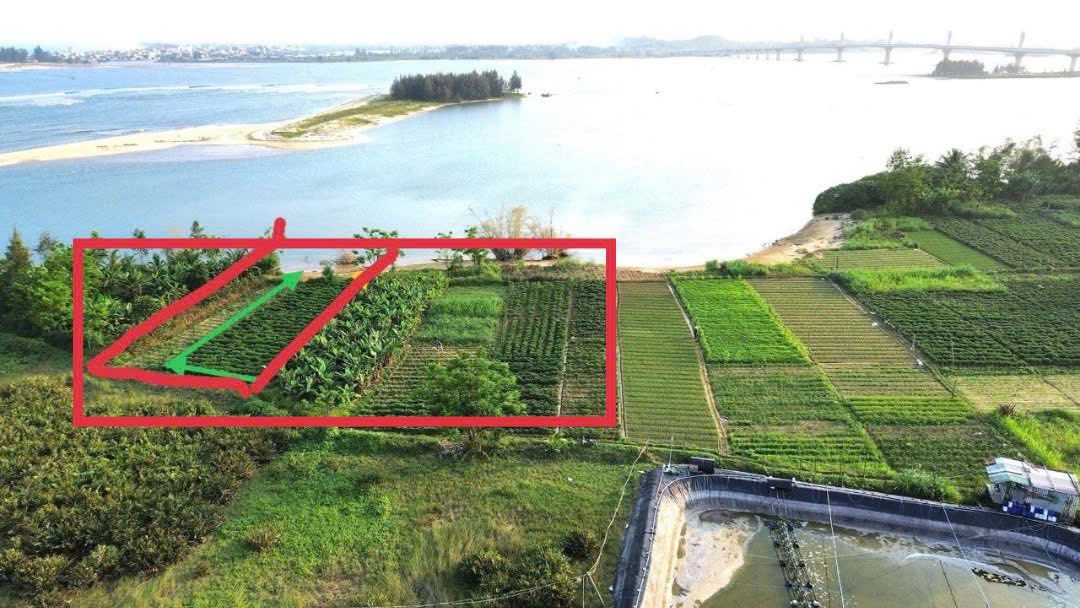 Đất nền Tịnh Khê Quảng Ngãi 800m² giá 1.2 tỷ - Cơ hội đầu tư tuyệt vời!