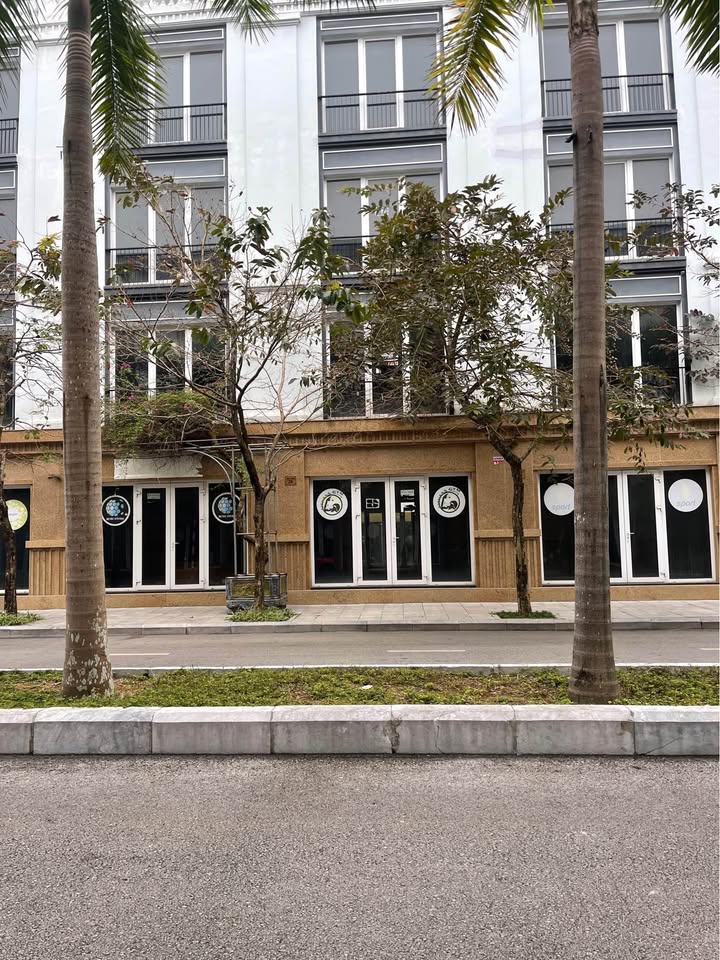 Nhà phố 5 tầng Khu Hoa Châu Eurowindow 84m² giá 6.9 tỷ - Chính chủ bán gấp!