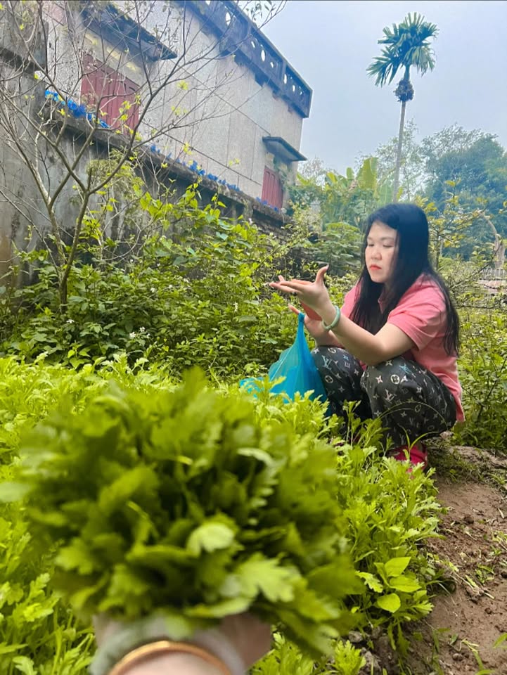 Đất nền Phố Thái Hòa Bình 112m² giá 1 tỷ - Ô tô đỗ cửa, gần sông Đà!