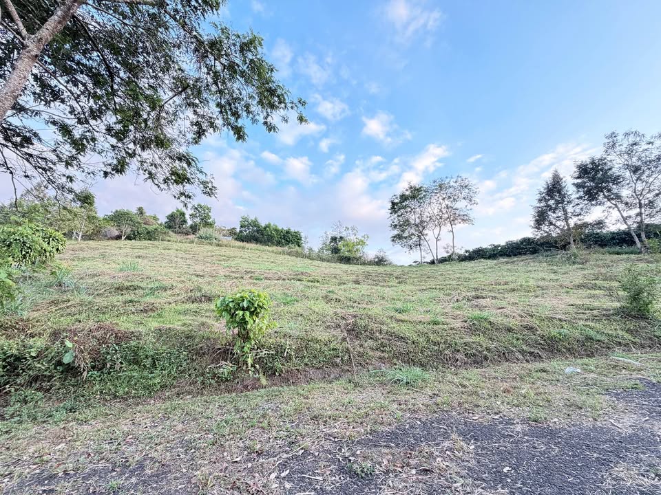 Đất nền Bảo Lộc 4500m² giá thỏa thuận - View đẹp 2 mặt tiền đường nhựa