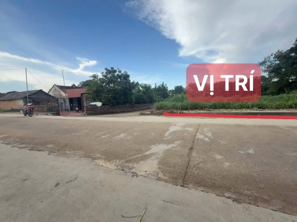 Đất nền Thọ Ngọc, Triệu Sơn, 153m² - Đầu tư sinh lời hấp dẫn!