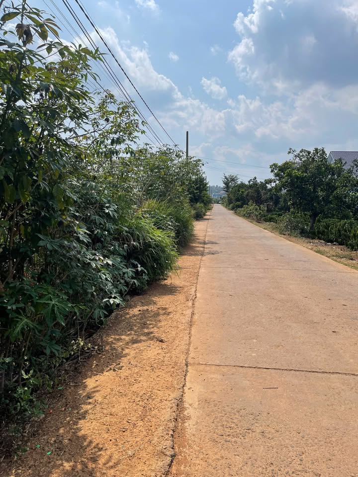 Đất nền 2000m² tại Thị trấn Nam Ban, giá 4.3 tỷ - Vị trí đắc địa gần chợ!