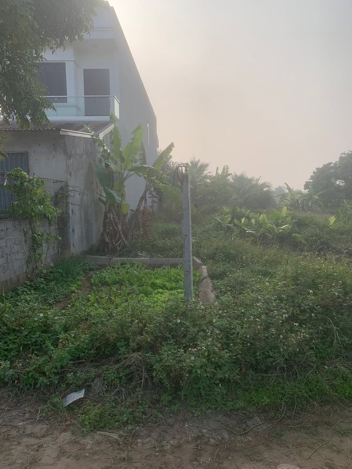 Lô đất nền đẹp Tân Kỳ, Tứ Kỳ, Hải Dương 140m² giá chỉ 2 tỷ - Đầu tư sinh lời nhanh!