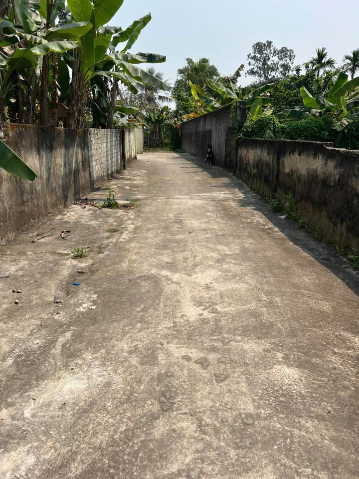 Đất thổ cư 700m² tại Quảng Định, giá chỉ 2.8 tỷ - Cơ hội đầu tư hấp dẫn!