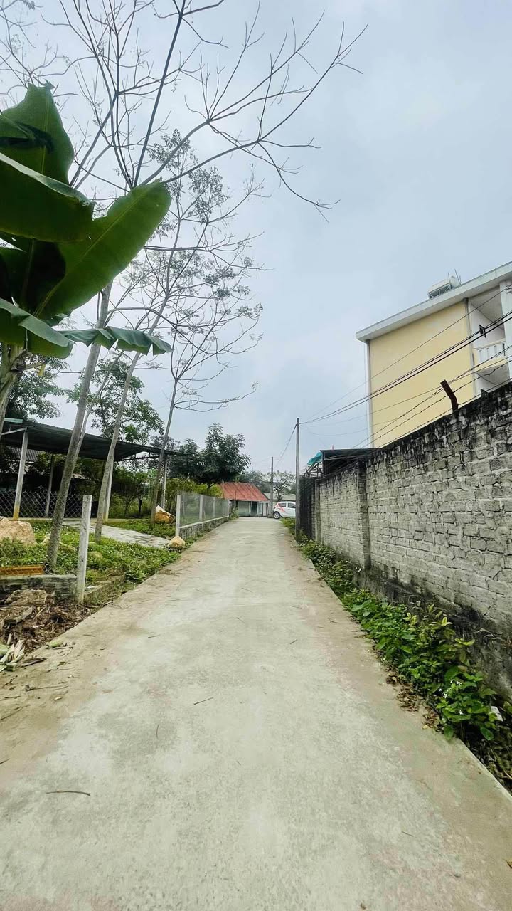 Đất nền chính chủ Tuyên Quang 180m² giá 1 tỷ - Sổ hồng đầy đủ, ô tô đỗ cửa!