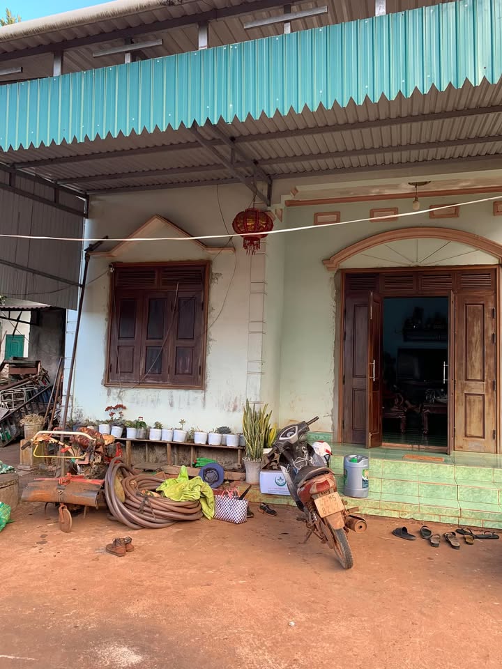 Farm 5880m² tại Thôn Enguoi, Xã Krông Búk chỉ 1.5 tỷ - Tặng thêm đất trồng cây ăn trái!