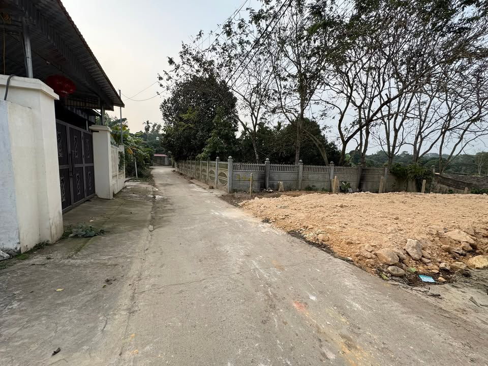 Đất nền Huyện Đại Từ 116m² giá 900 triệu - Đầu tư sinh lời hấp dẫn!