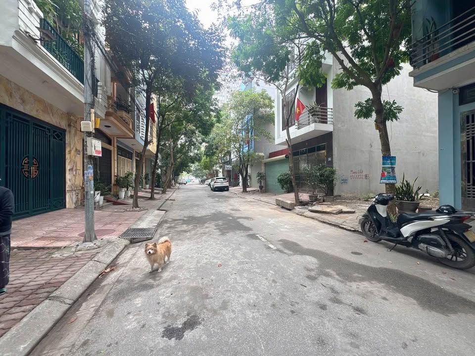 Đất nền Phố Nguyễn Đức Cảnh, Bắc Ninh - Diện tích 89m², Giá tốt đầu tư!