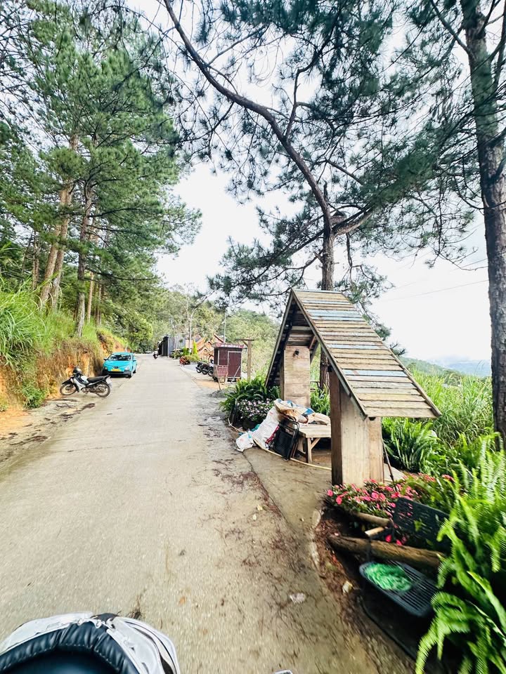 Đất nền chính chủ tại Đường Hùng Vương, Đà Lạt 110m² giá 850 triệu - Tiềm năng đầu tư lớn!