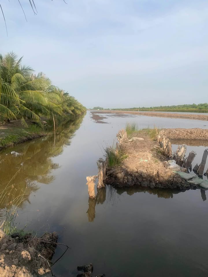 Đất nuôi trồng thủy sản tại Kiên Lương 40.000m² giá 2.5 tỷ - Cơ hội đầu tư hấp dẫn!