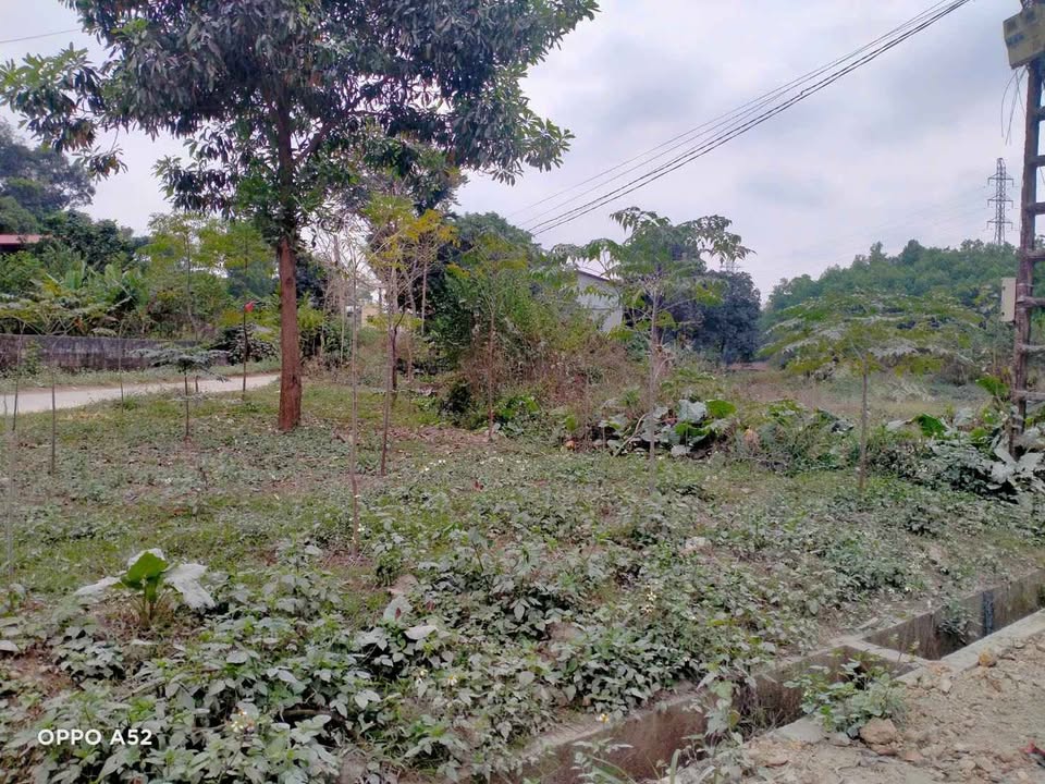 Đất Hóa Thượng 230m² giá 1.1 tỷ - Mặt tiền thông thoáng, kinh doanh thuận lợi!