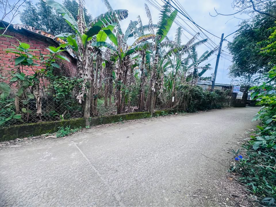 Lô đất kiệt ô tô Hòa Tiến 121m² giá 1.6 tỷ - Cách chợ Lệ Trạch 300m