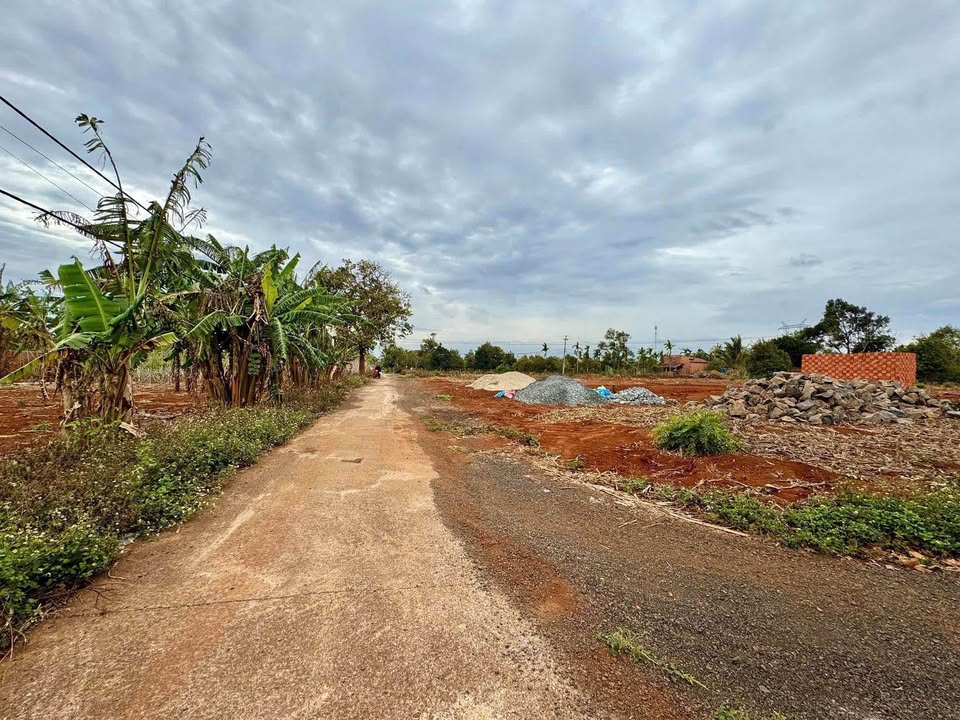 Đất thổ cư Thôn 2 Cư Suê 150m² giá 750 triệu - Trung tâm tiện ích sầm uất!