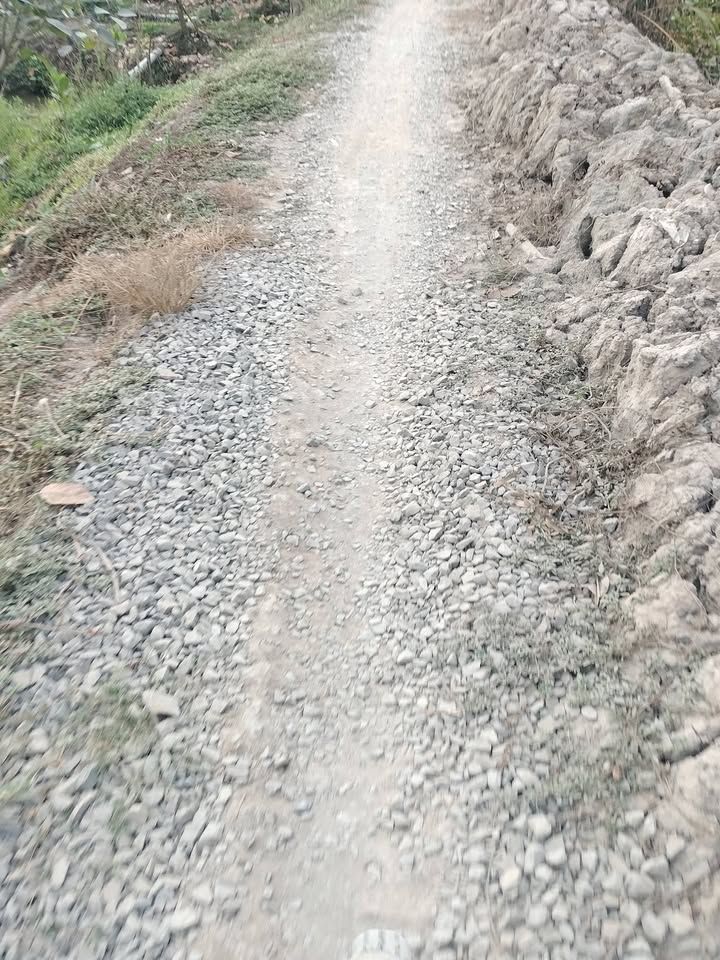 Đất Farm 17 công tại Xã Mỹ Hạnh Trung - Cho thuê giá 102 triệu/năm - Mặt tiền 105m