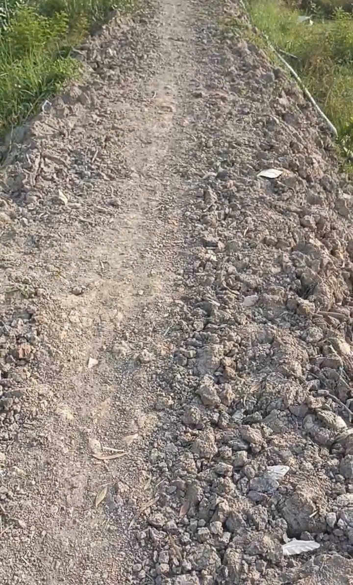 Đất vườn xã Hậu Mỹ Bắc B, 1000m² giá 360 triệu - Đầu tư sinh lời ngay!