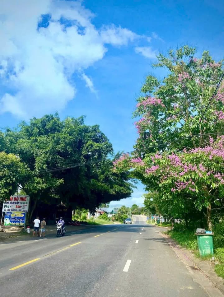 FrontHouse Quốc Lộ 20, Huyện Tân Phú, 470m² giá 2.3 tỷ - Đầu tư sinh lời hấp dẫn!