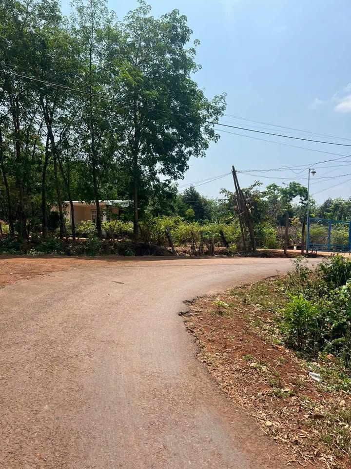 Đất nền Ấp 7 Lộc An 210m² giá chỉ 150 triệu - Sổ đỏ chính chủ