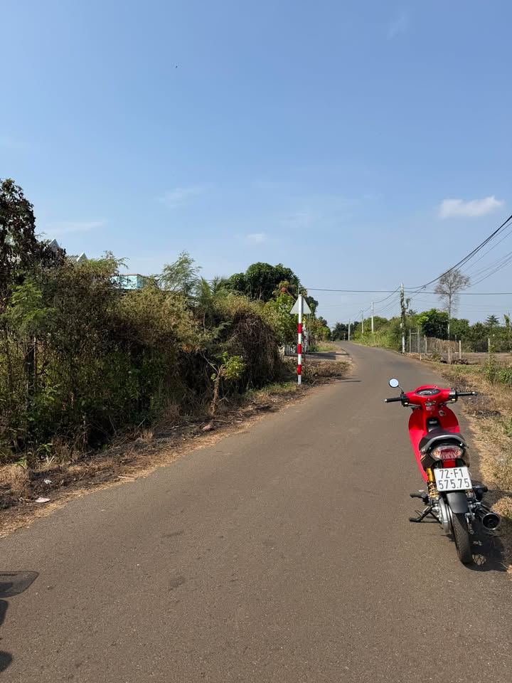 Đất nền Bình Chánh 300m² giá 800 triệu - Đầu tư sinh lời ngay!