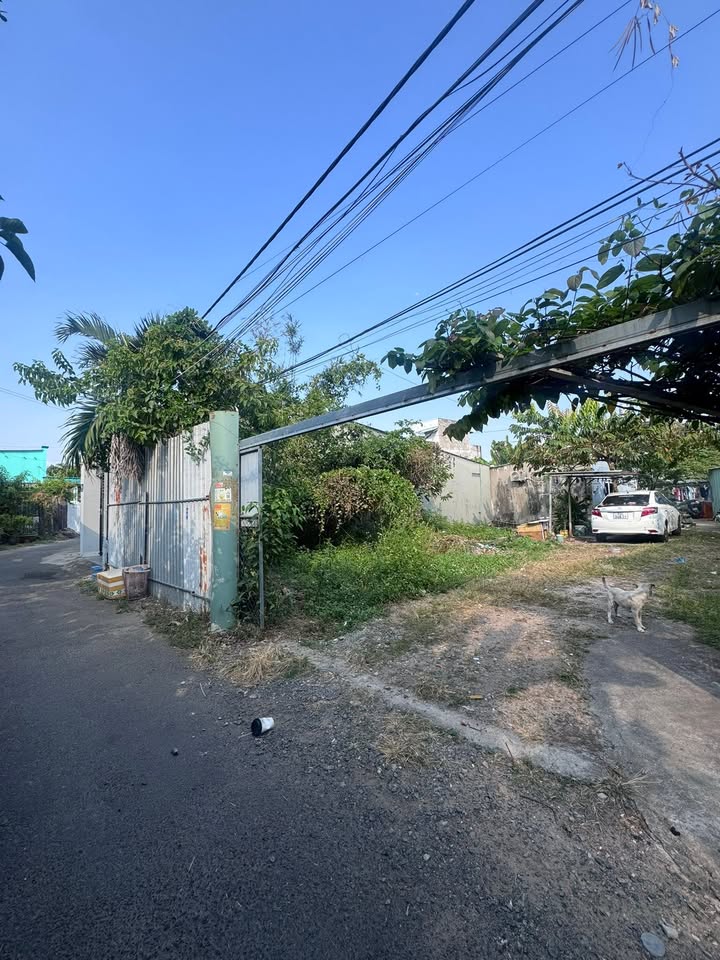 Đất nền Phường Long Hương, TP. Bà Rịa 91m² giá chỉ 1,83 tỷ - Sổ hồng chính chủ!