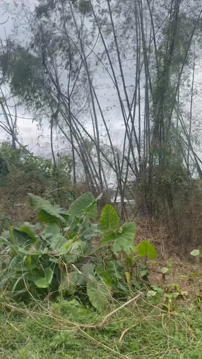 Đất nền biệt thự Xã Duy Phước 510m² giá 700 triệu - Sổ hồng chính chủ sẵn sàng giao dịch!