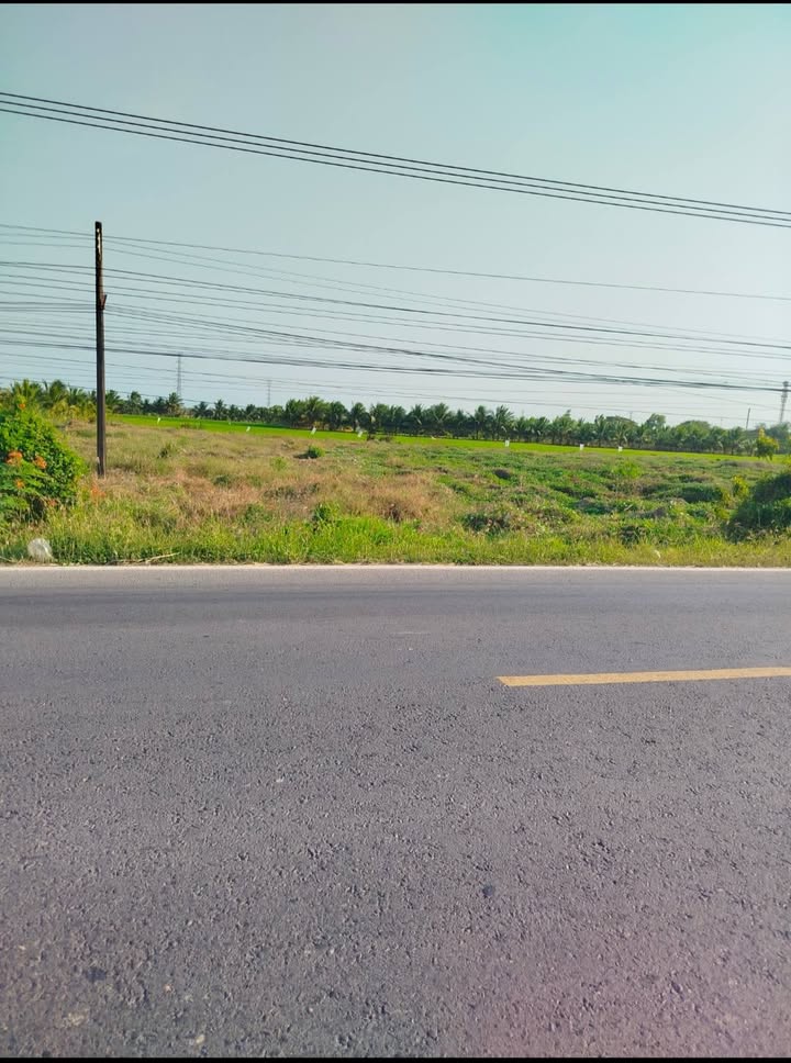 Đất nền mặt tiền Quốc lộ 60, xã Lương Hòa, 350m² giá 900 triệu - Cơ hội đầu tư hấp dẫn!