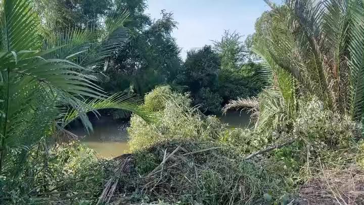 Đất nuôi tôm 10.000m² tại Xã Đôn Châu - Giá chỉ 1.3 tỷ VND, Bán gấp!