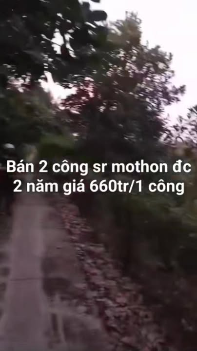 Đất nền 1000m² tại Mỹ Đức Đông, Cái Bè - Giá chỉ 660 triệu - Sổ cây lâu năm!