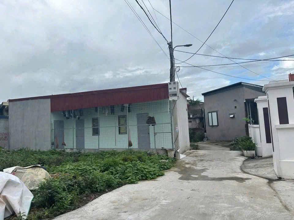 Đất Hồng Phong, An Dương 62m² giá 1 tỷ - Đầu tư sinh lời với 3 phòng trọ!