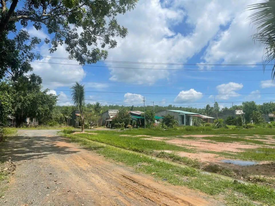 Đất nền 1000m² tại Đồng Tiến, Đồng Phú - Cơ hội đầu tư hấp dẫn chỉ 145 triệu!