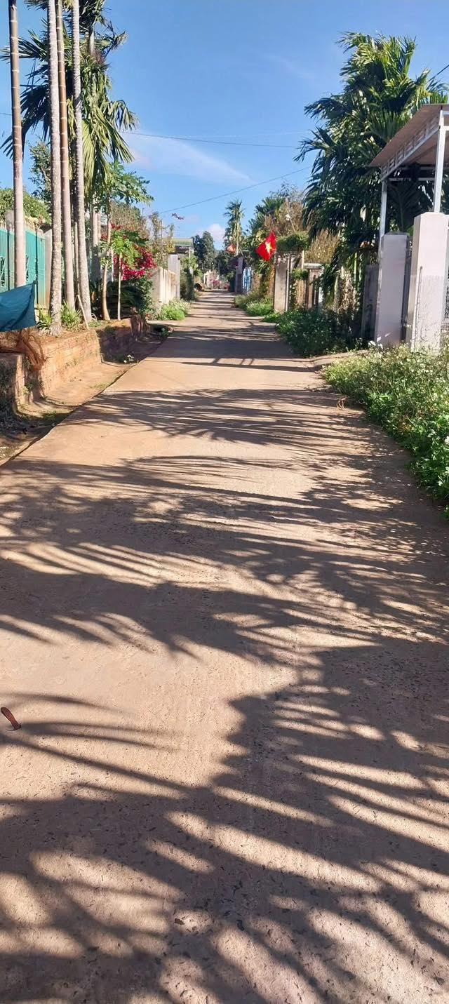 Đất thổ cư 720m² xã Bình Hòa, huyện Krông Ana giá 700 triệu - Cơ hội đầu tư tuyệt vời!