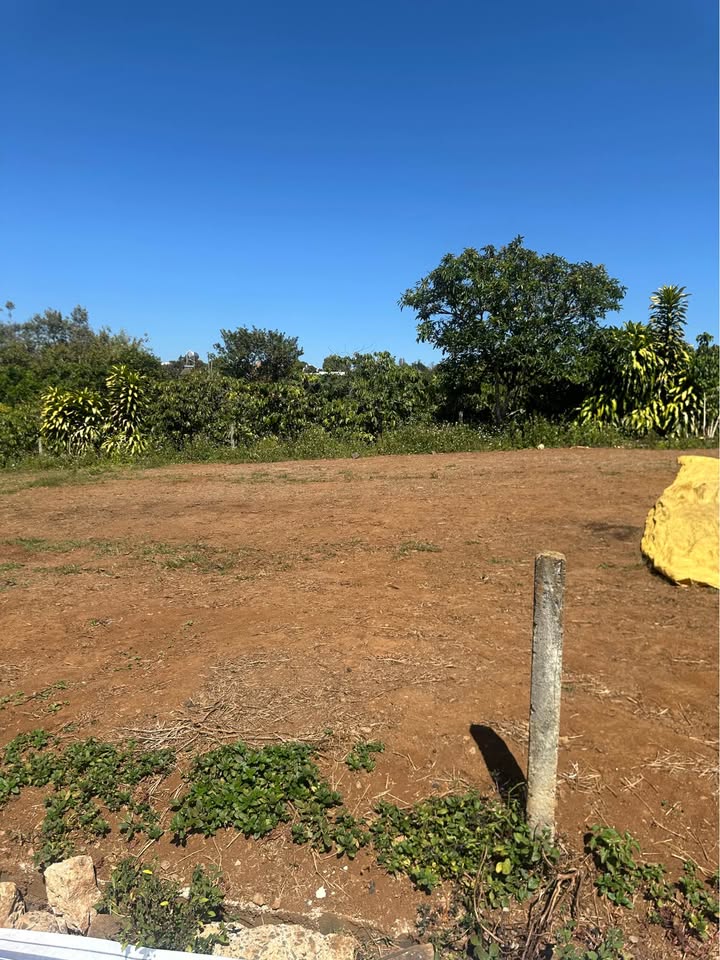 Đất thổ cư thị trấn Di Linh 3795m² giá 1 tỷ - Mặt tiền đường nhựa thuận lợi kinh doanh!