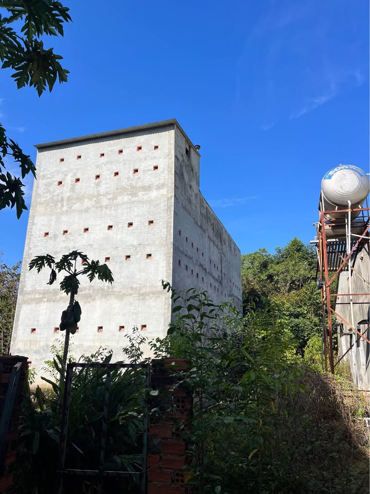 Farm 7 sào 3 tại Đồng Tiến, Đồng Phú – Giá 3 tỷ, thu nhập từ nhà yến cao!