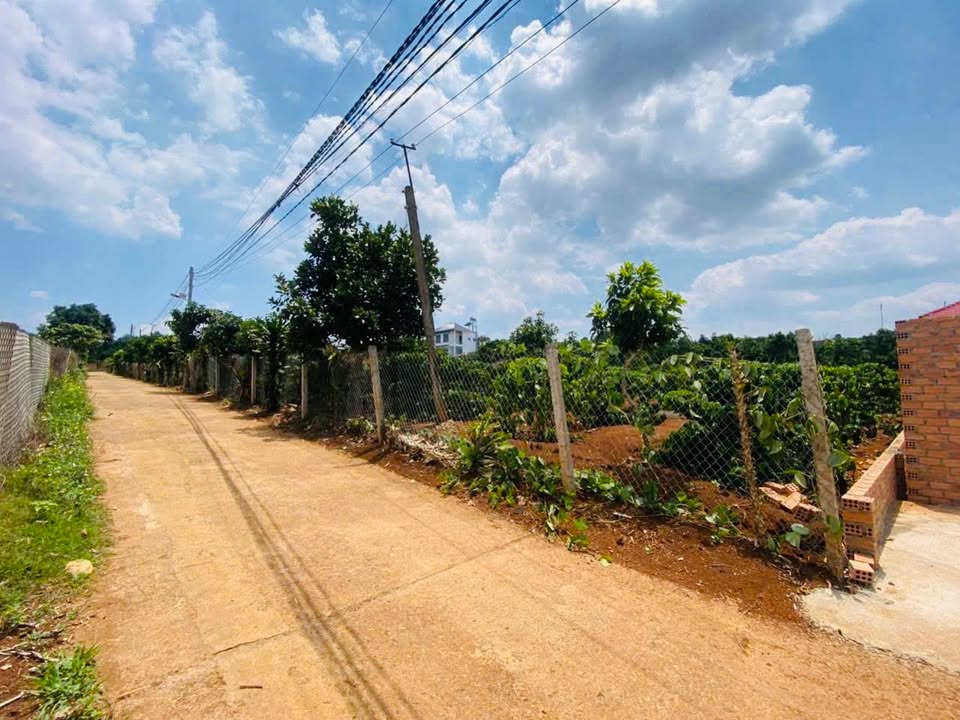 Đất nền 1.000m² khu dân cư Thị trấn Nam Ban giá 1.9 tỷ - Đầu tư sinh lời!