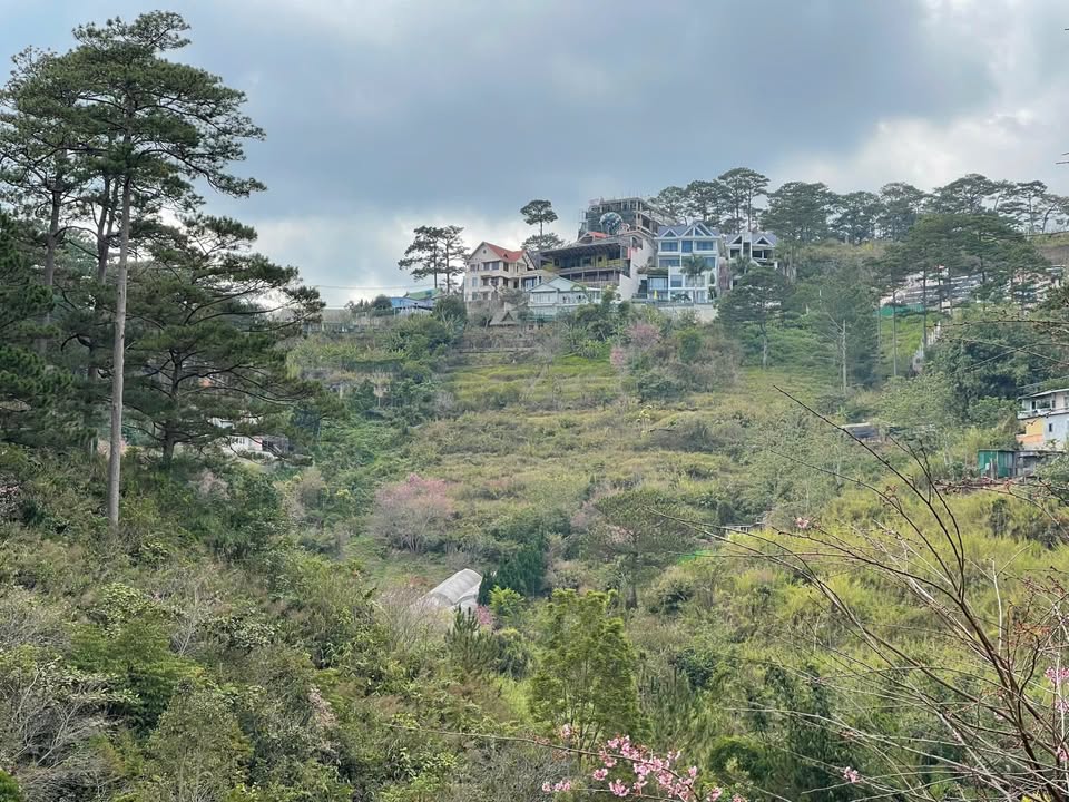 Đất nền Đà Lạt 778m² giá 10.5 tỷ - Sổ đỏ chính chủ, oto tận nơi!