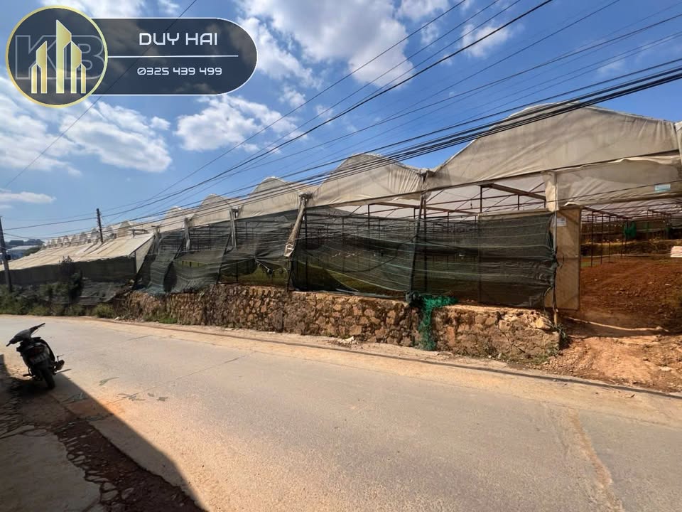 Đất nền Đà Lạt 83m² - 1 tỷ - Sổ nông chung, nhanh tay chốt ngay!