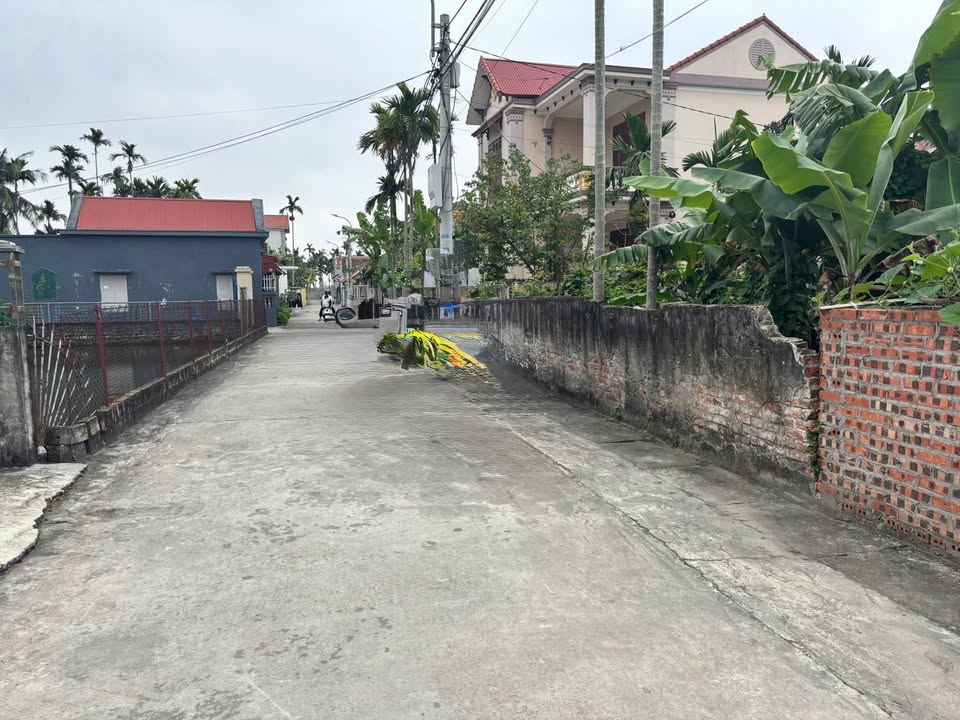 Đất thổ cư xã Vĩnh Bảo 175m² giá tốt - Đầu tư sinh lời ngay!