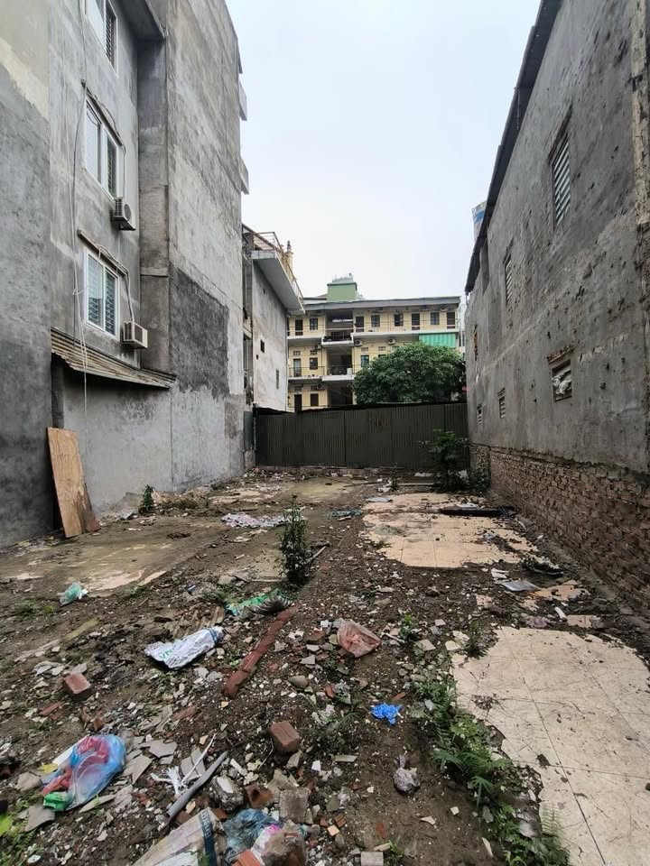 Đất phố Trần Thái Tông, Cầu Giấy 135m² giá 29 tỷ - Cơ hội đầu tư hiếm có!