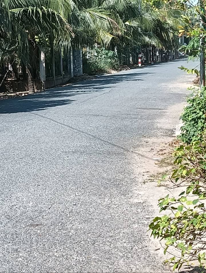 Đất vườn dừa An Phước, Châu Thành, 514.2m² giá 900 triệu - Sổ đỏ chính chủ!