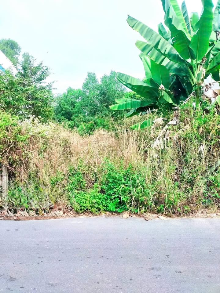 Đất mặt tiền Dx88 Hiệp An 140m² giá 2.6 tỷ - Bớt lộc cho khách thiện chí!