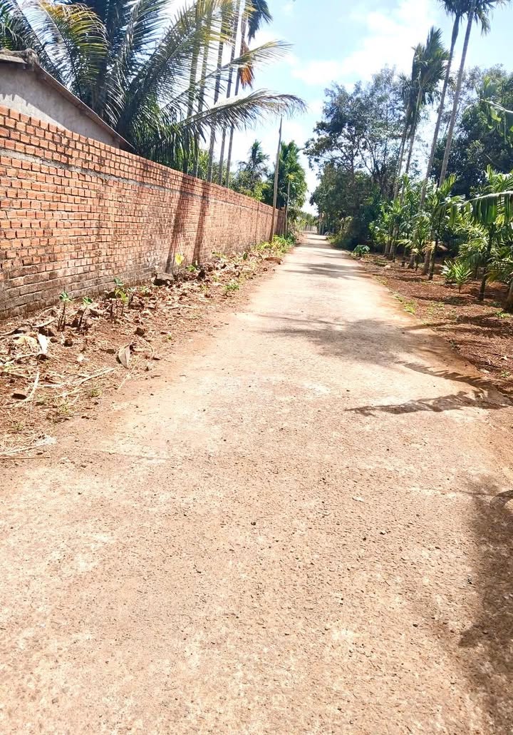 Lô đất Ea Kao 1140m² giá 2.65 tỷ - Cơ hội đầu tư tuyệt vời!