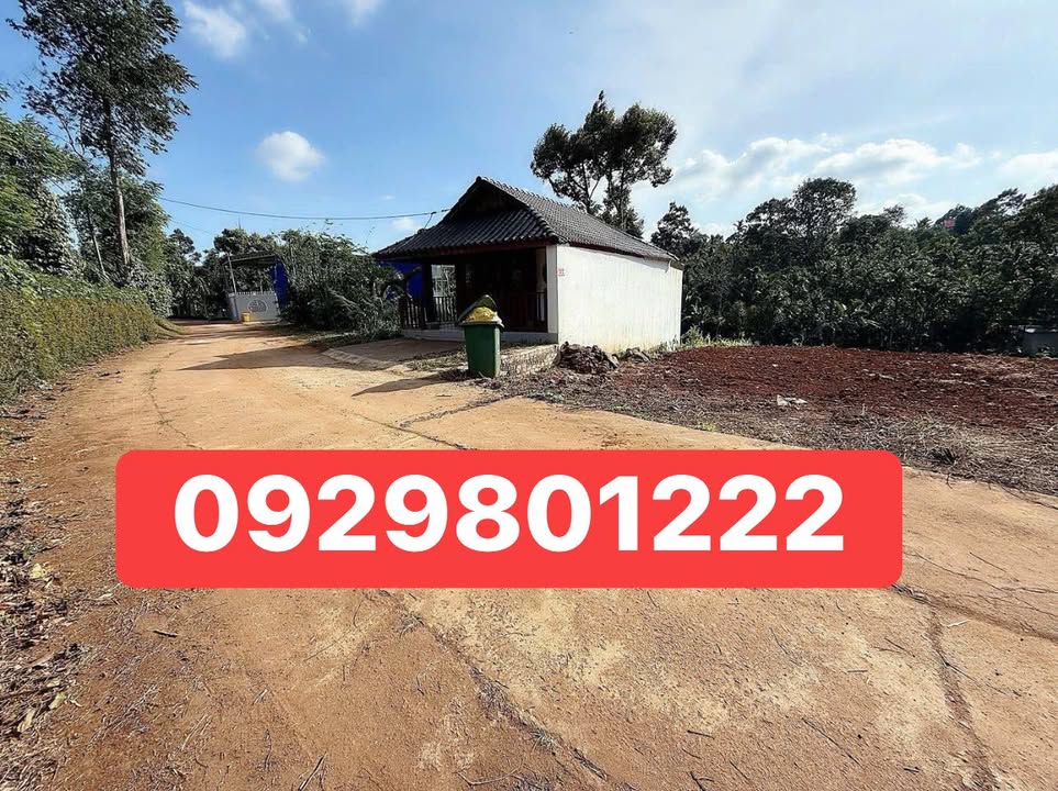 Đất Tân Lập, Buôn Ma Thuột 100m² giá 700 triệu - Đầu tư sinh lời ngay!